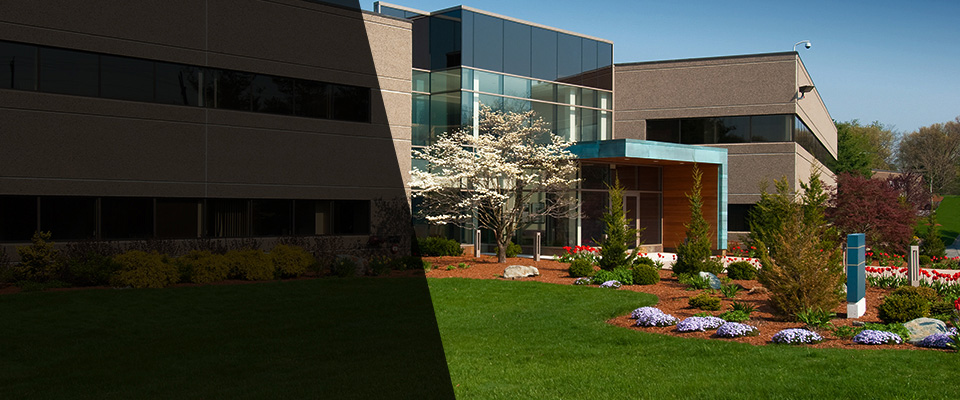 Jane Lew Landscapers