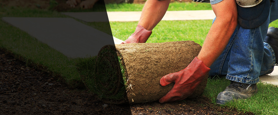 Jane Lew Landscapers